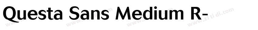 Questa Sans Medium R字体转换